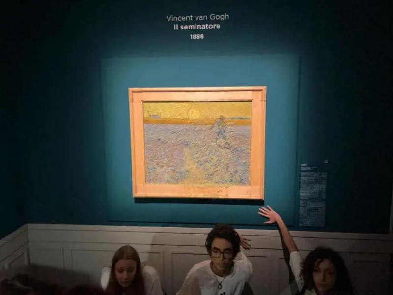 Immagine gallery