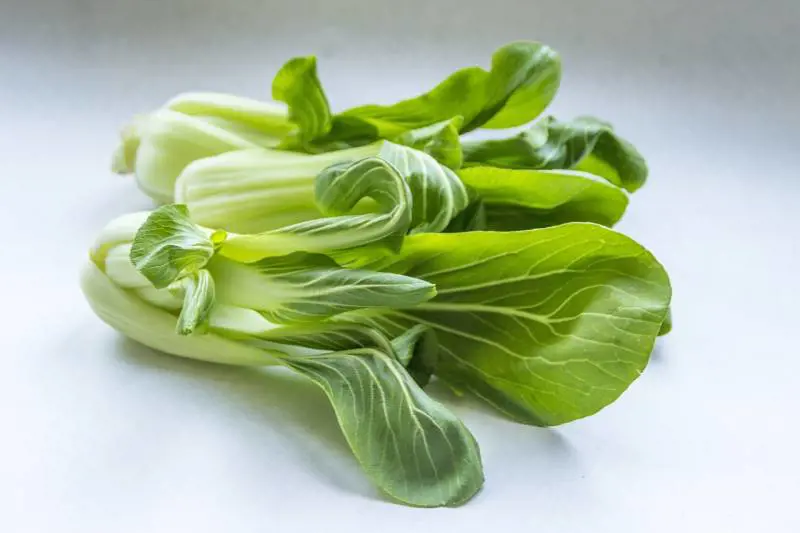 Cavolo cinese, proprietà e ricette