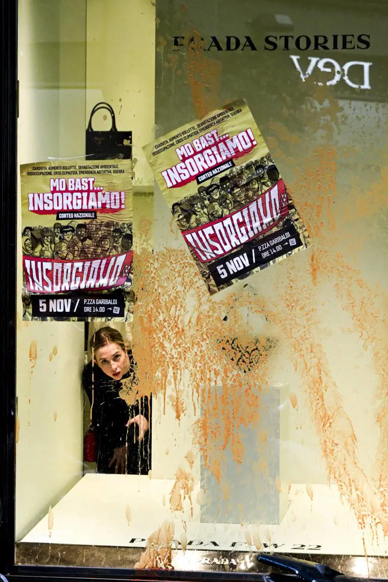 Immagine gallery