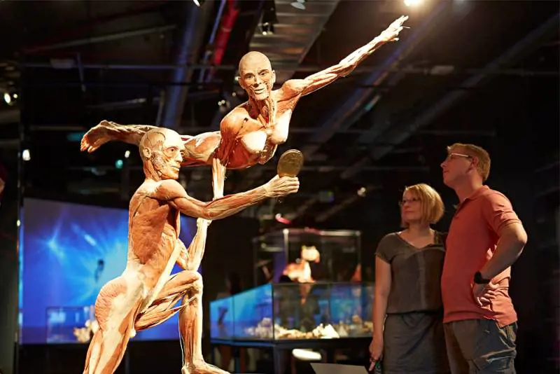 "Body Worlds" in Centrale. Jocker scatenato a teatro