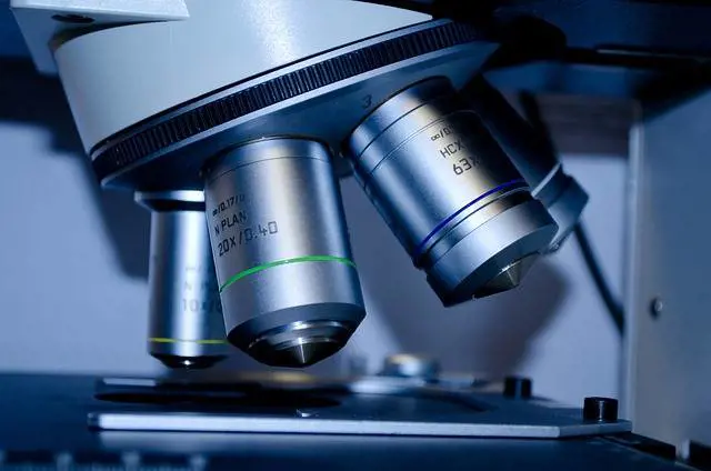 Mieloma multiplo, scoperte nuove opzioni di trattamento