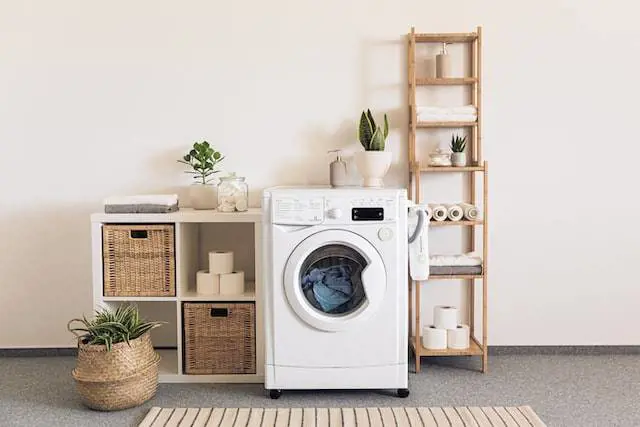 Consumi green: detersivi lavatrice, ecco i più ecofriendly