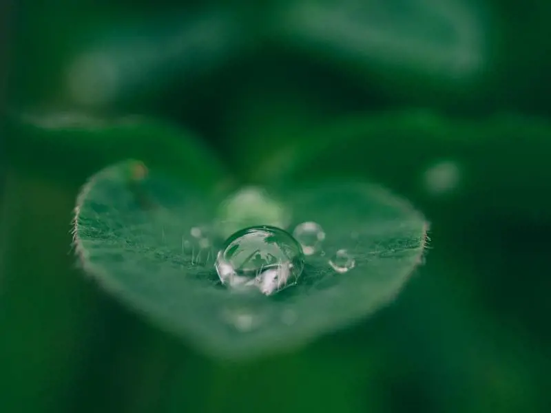 Ridurre lo spreco di acqua in casa: 5 consigli