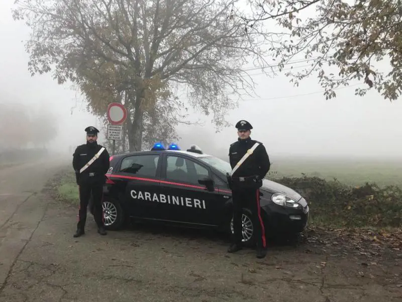 Trovati resti umani vicino Novellara: "Potrebbero essere di Saman"