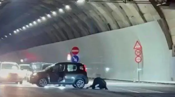 Si azzuffano fuori dalla galleria, nessuno interviene
