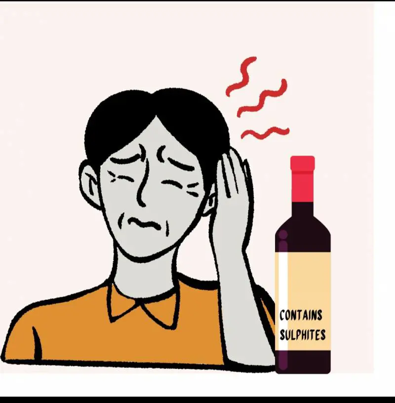 Solfiti e malessere. È davvero tutta colpa del vino?