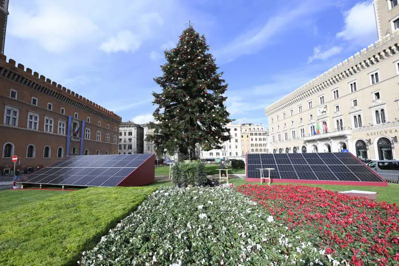 Roma, l’albero di Natale "trasloca" da Piazza Venezia: ecco perché