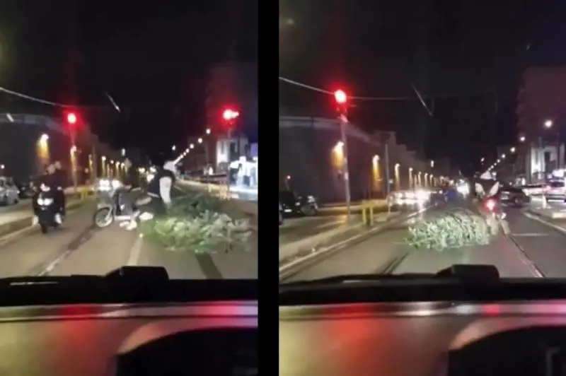 Rubano un albero di Natale e lo trascinano per strada. Il video choc