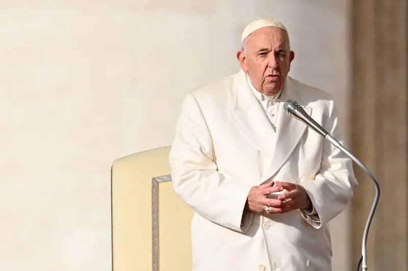 Il Papa "patriota": "Italiani, fate figli" 