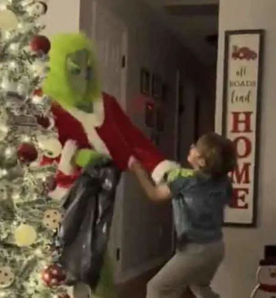 L'ultima follia social: papà travestiti da Grinch terrorizzano i figli