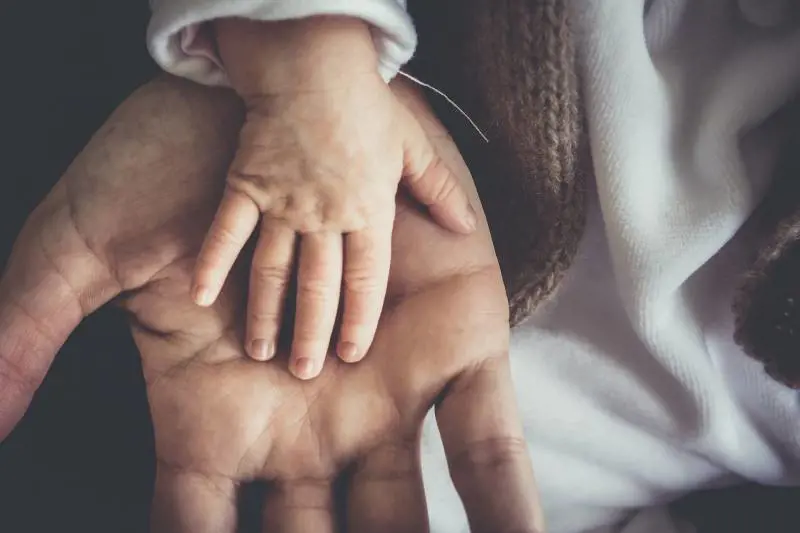 Il sogno del padre