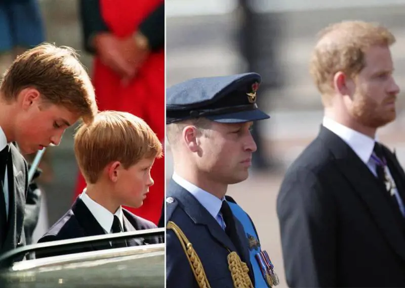 La cocaina, Camilla, la divisa nazista: la furia di Harry travolge la Corona