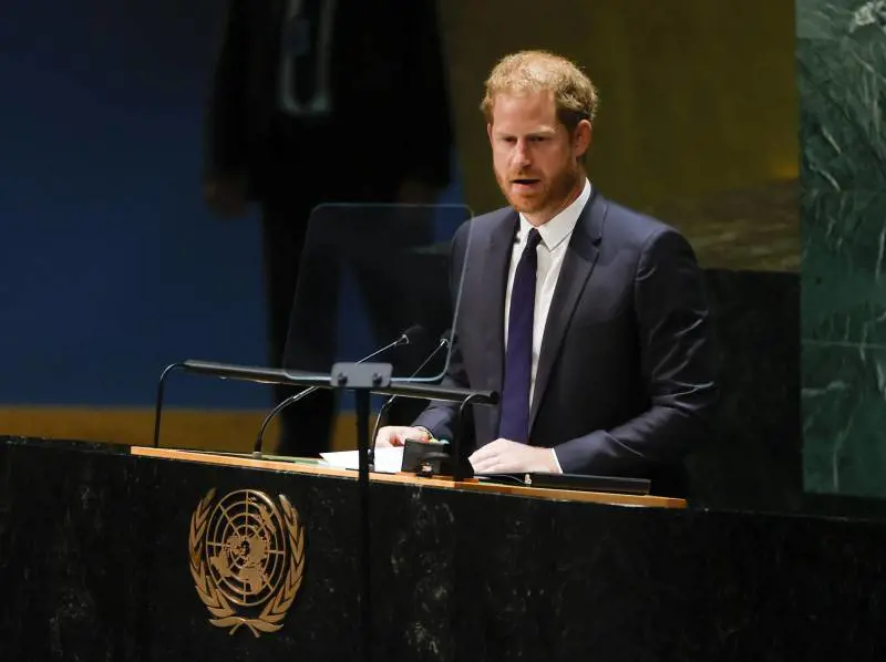 Il Principe Harry è il vero re del libro