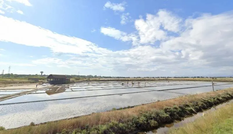Il sale e le saline di Cervia