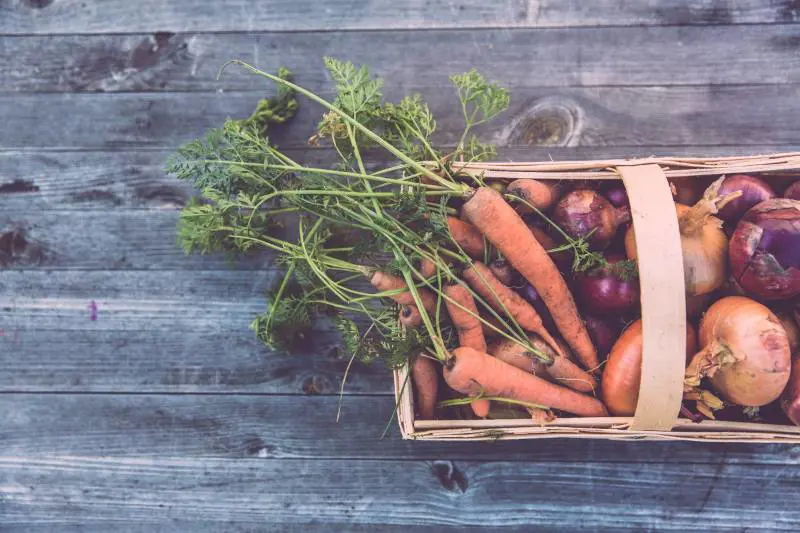 Come essere sostenibili in cucina