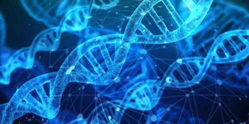 Molecole di RNA contro la crescita dei tumori
