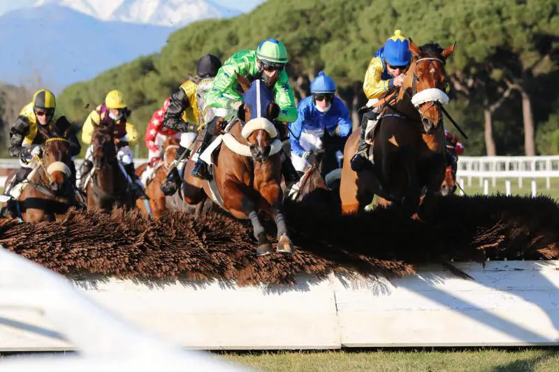 San Rossore – Alfea Corse Cavalli
