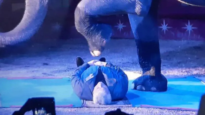L'elemosiniere del Papa sotto l'elefante in un numero da circo: scoppia la polemica