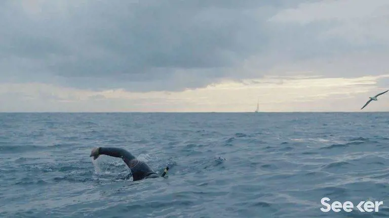 Benoit Lecomte, l’uomo che sfidò l’oceano Pacifico 