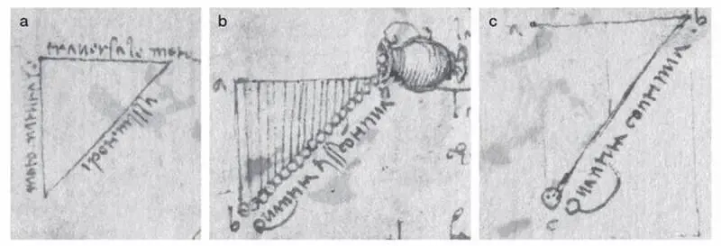 Il disegno di Leonardo da Vinci nel Codice Arundel 