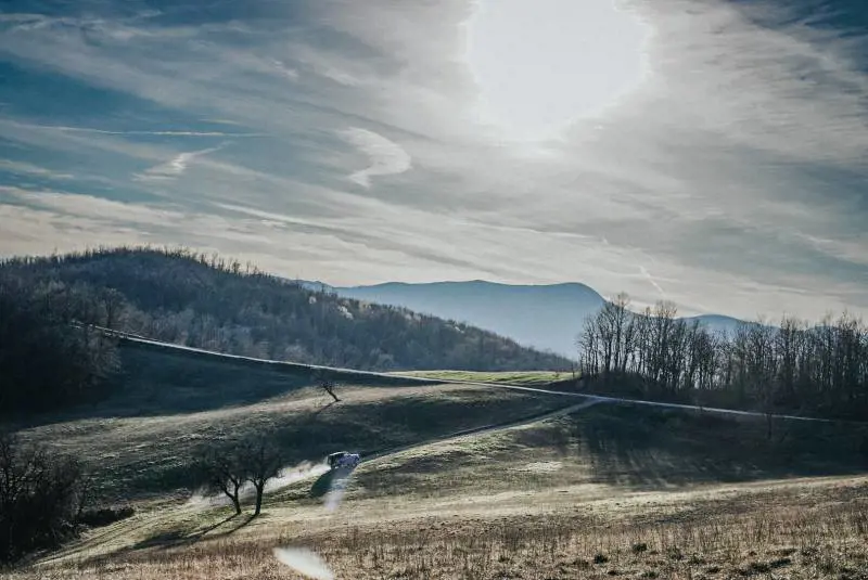 Immagine gallery