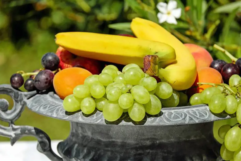 Over 60, quale frutta fa bene alla mente