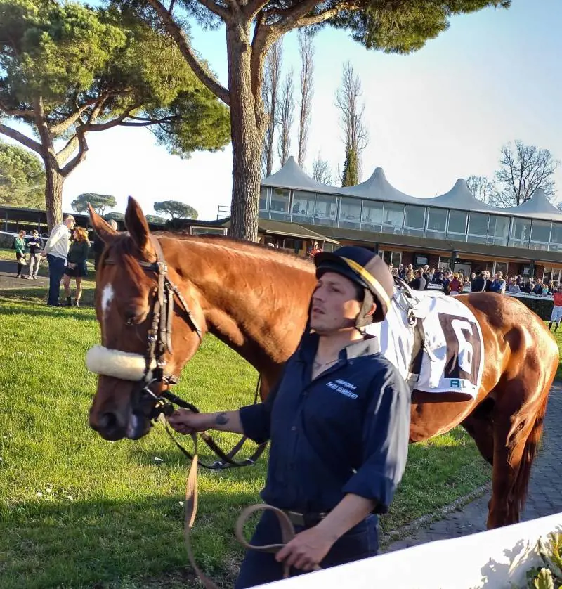 Il rientro di Dormello