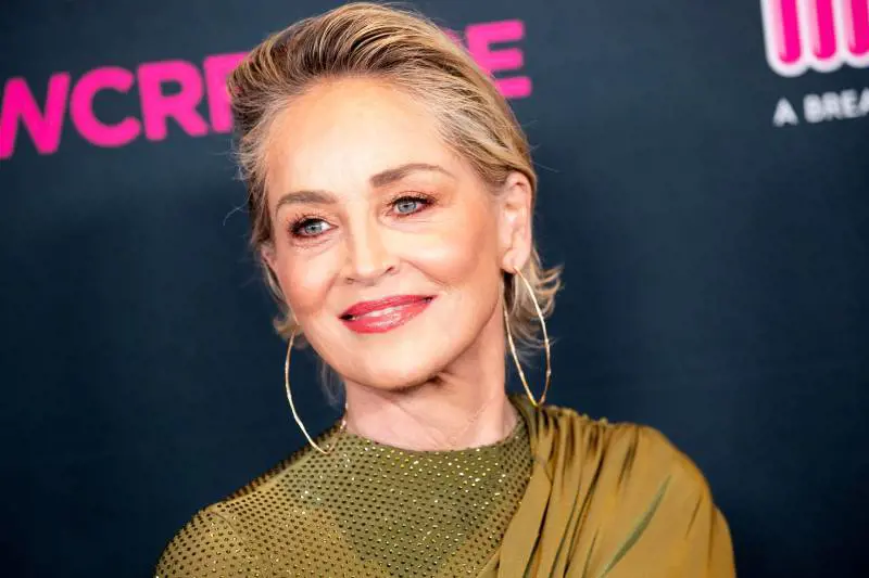 "Io disabile, ho perso tutto". Lo sfogo di Sharon Stone e quell'accusa a Hollywood