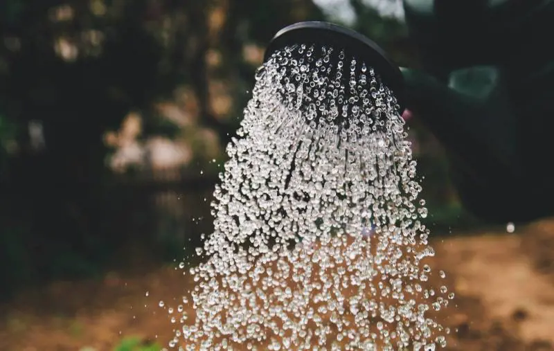 "Niente vasca solo doccia". La mossa per arginare la siccità in sei comuni del Veneto
