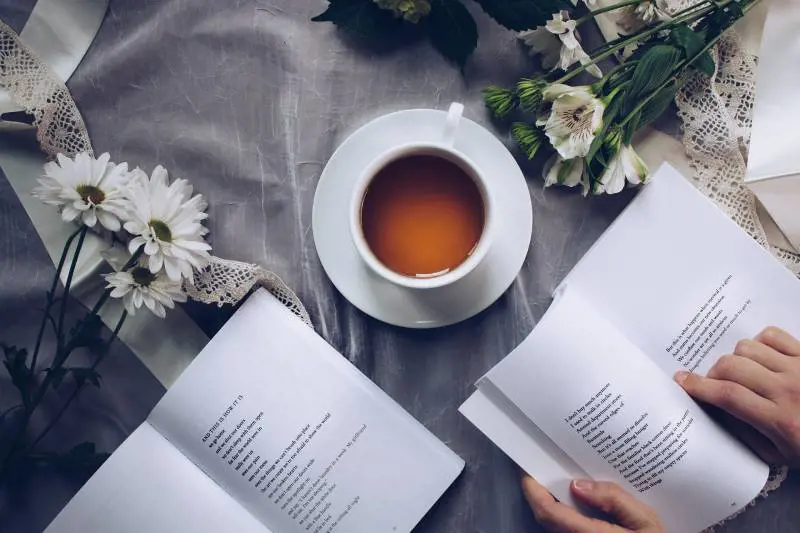 Giornata Mondiale della Poesia: i 10 libri da leggere, tra poeti italiani e stranieri