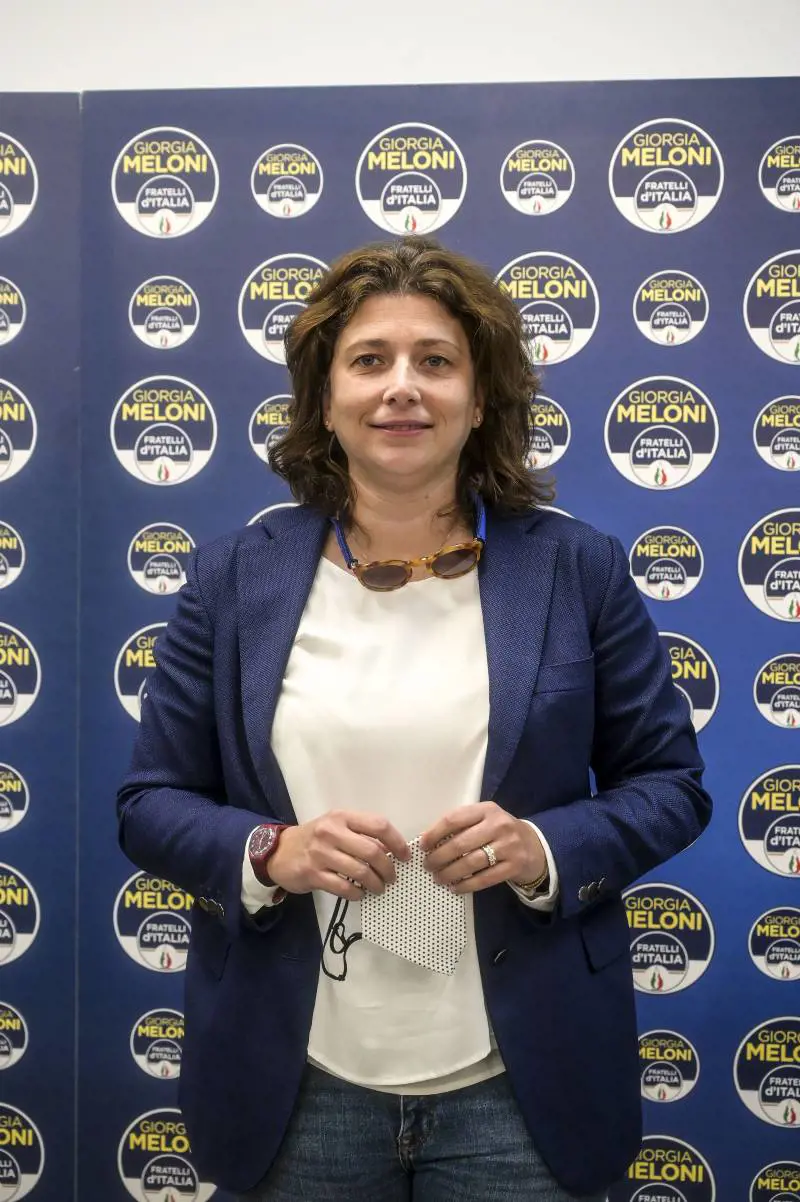 "Ecco cosa prevede la legge contro la maternità surrogata"