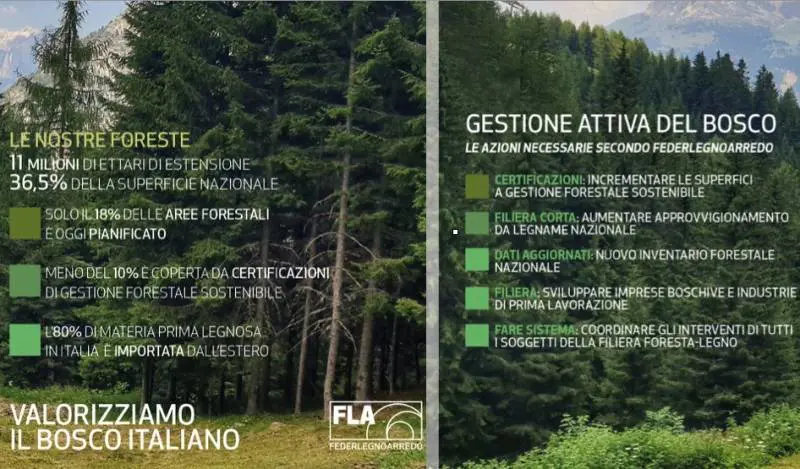 Federlegno: "Uso a cascata delle foreste per creare valore e sostenibilità" 