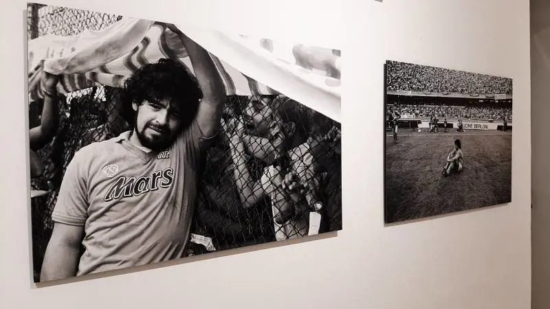 Immagine gallery