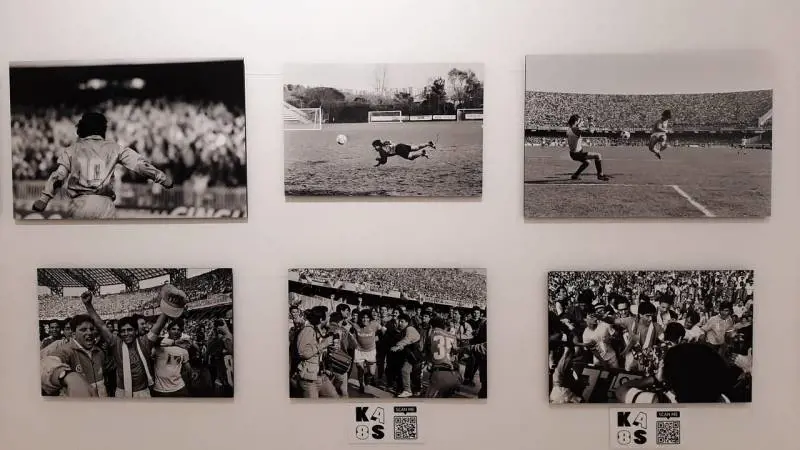 Immagine gallery