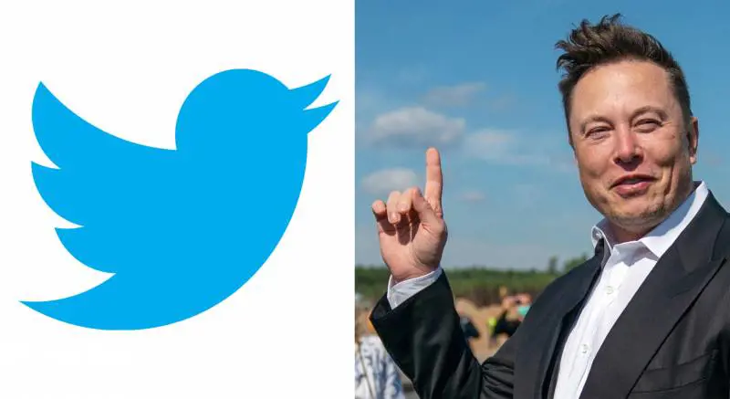 Il Papa perde la spunta blu su Twitter. Ma Musk paga per lasciarla ai Vip