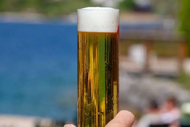 Birra in polvere fai da te, una ricetta ecologica che sfida la tradizione