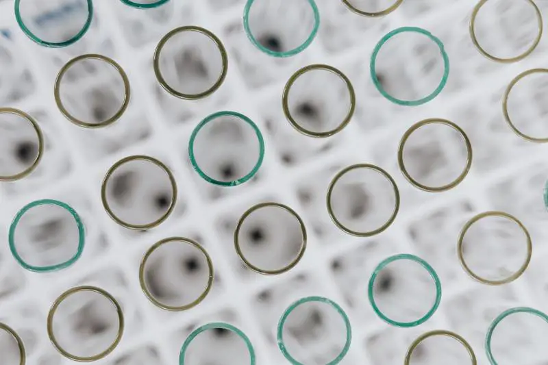 Cancro, il nuovo sensore di nanoparticelle per la diagnosi precoce