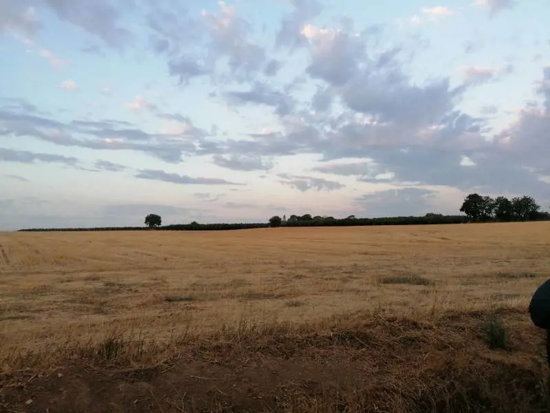 Il territorio di Campagnano, vicino Roma (Agosto 2021)
