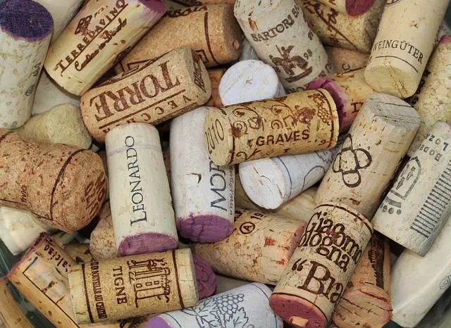 Alcuni errori da evitare per salvare una bottiglia e degustare al meglio un vino