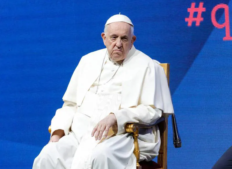 Cani, gatti, conigli: quelle frasi "scomode" del Papa sugli animali