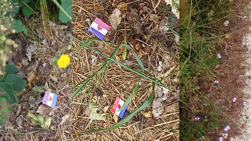 L'ennesimo oltraggio dei compagni: cosa hanno fatto alla foiba di Basovizza