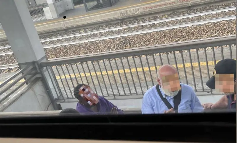 "Il biglietto? Stai zitto". Dallo straniero minacce e bestemmie al controllore del treno