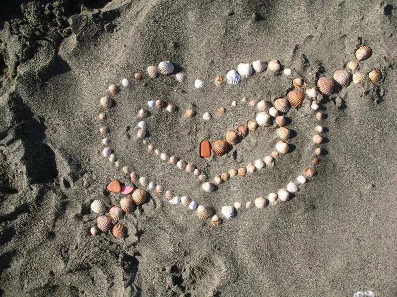 Matrimonio, come annullare una procedura di separazione