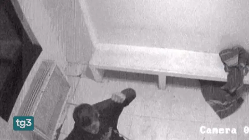 Botte e umiliazioni in questura. Ecco le foto della vergogna