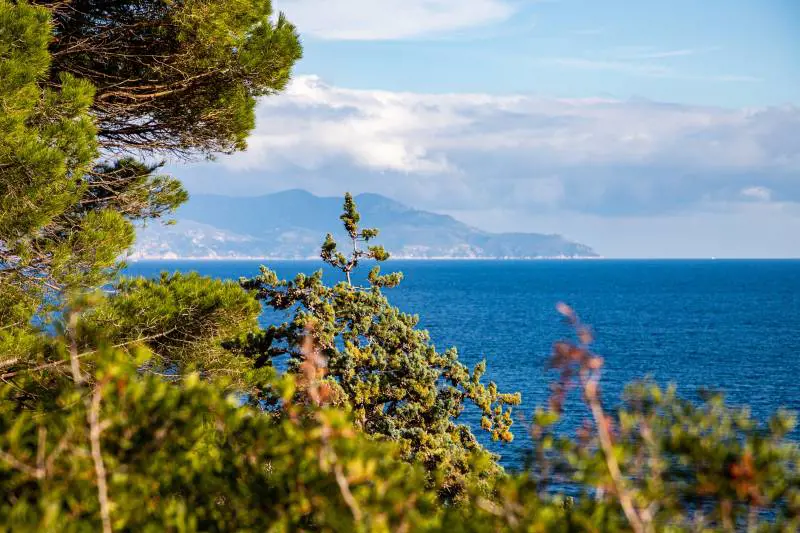 Isola del Giglio: le spiagge più belle e cosa vedere