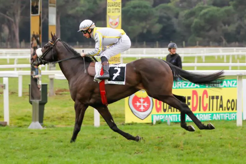 Goldenas (sanrossore.it)