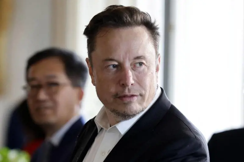 Twitter, tutti odiano Musk. Ma (forse) ha ragione lui