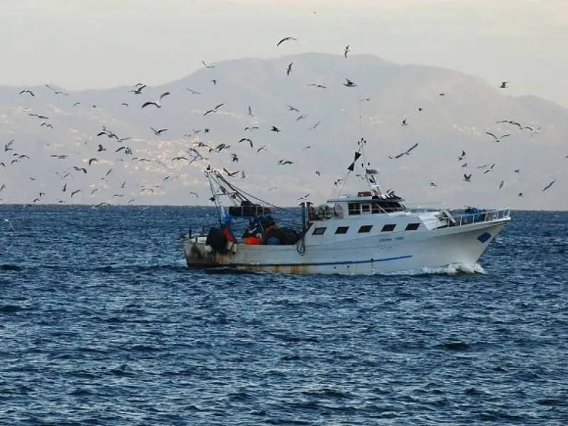 "Norme che uccidono la pesca". L'Italia contro il nuovo documento Ue