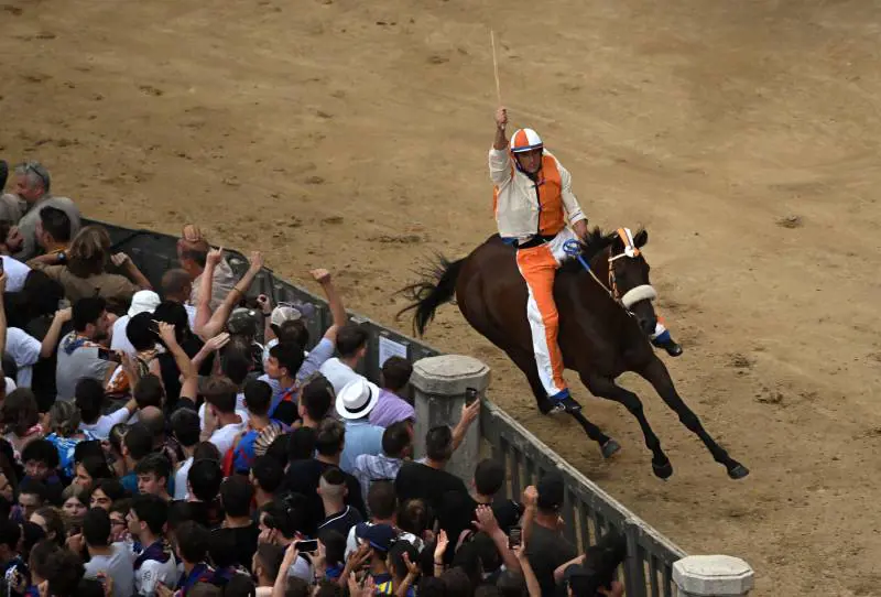 Siena, i mille trucchi e tradimenti del Palio