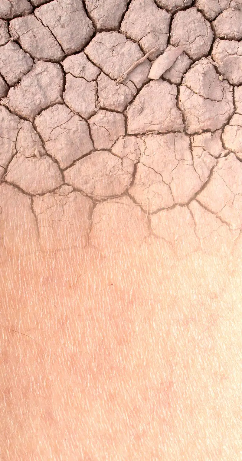 Il ritorno del Niño. Inizia un anno di fenomeni estremi. "Mai così caldo"